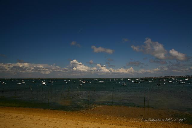 11_IMG_1499.JPG
