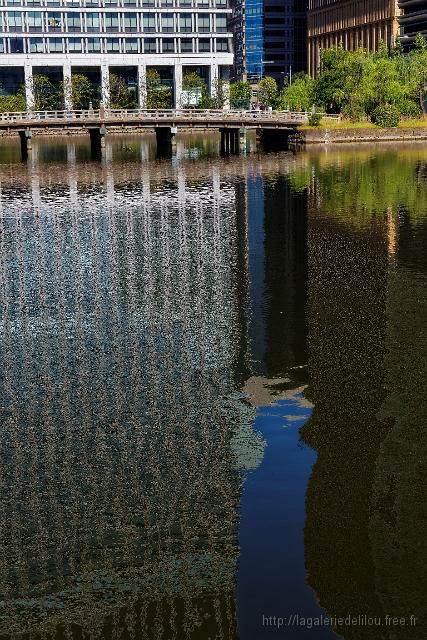 10-5D3_2768R.jpg
