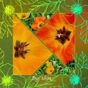 14-Cartoline 211200201