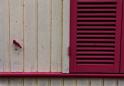 13IMG_5919R1