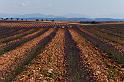 01_IMG_6674R3