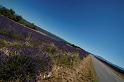 13_MG_6510R2