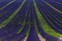 15_IMG_6606R2
