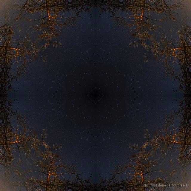 04_5D3D1224_fractal.jpg