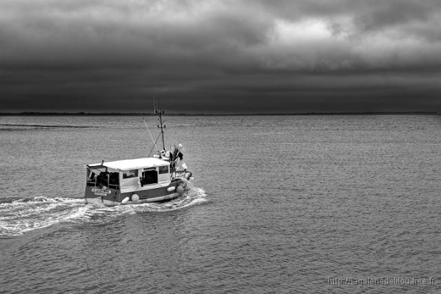 11-5D3B7752R NB.jpg