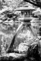 07-5D3_4413R_NBdegrade