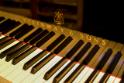 14-IMG_5212b