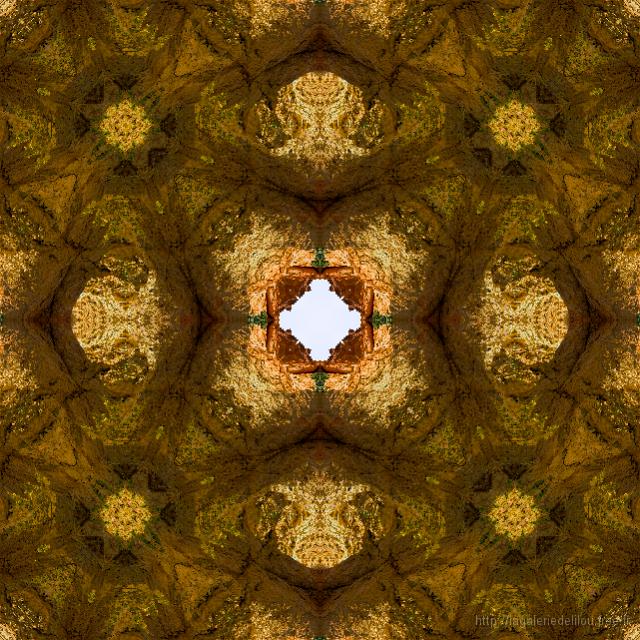 04_IMG_4487_fractal2b.jpg
