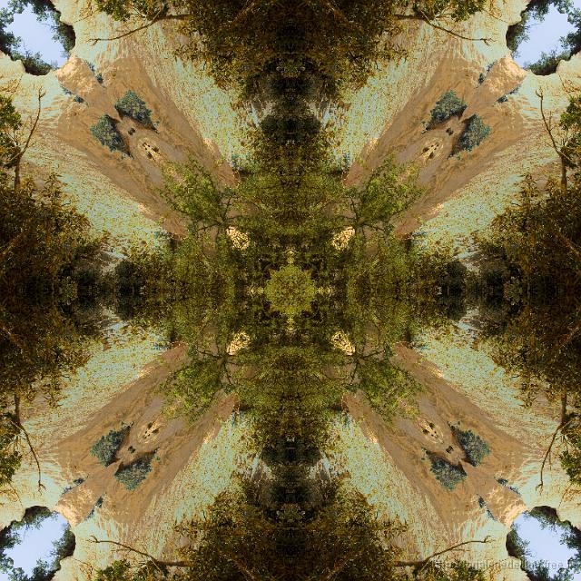 06_IMG_4445_fractal.jpg