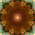 02_IMG_4444_fractal