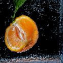 03-IMG_0929R