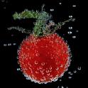 10-IMG_0949R