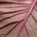 04-IMG_2465R25_carre