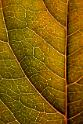 07-IMG_1804R25